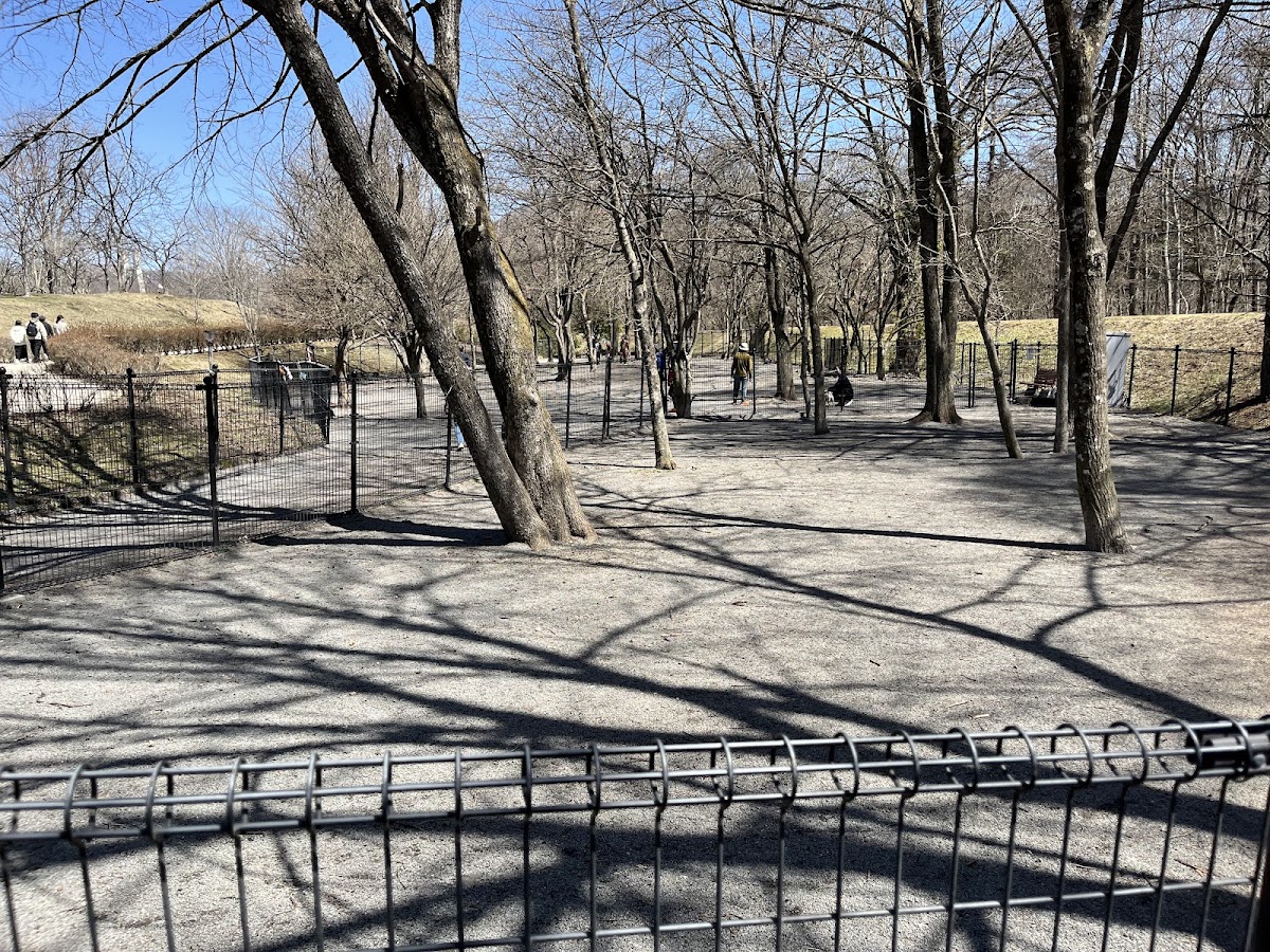 湯川ふるさと公園 ドッグランの実際の写真