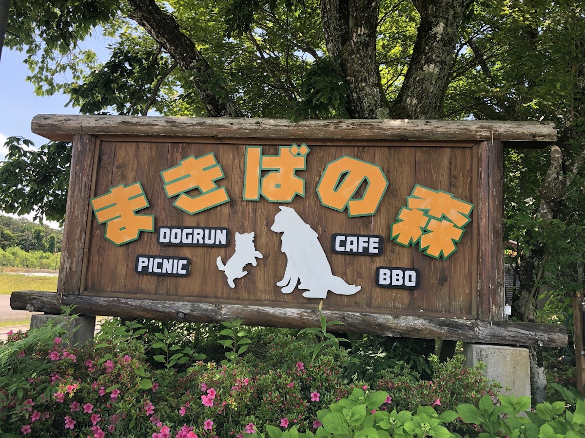 まきばの森の実際の写真