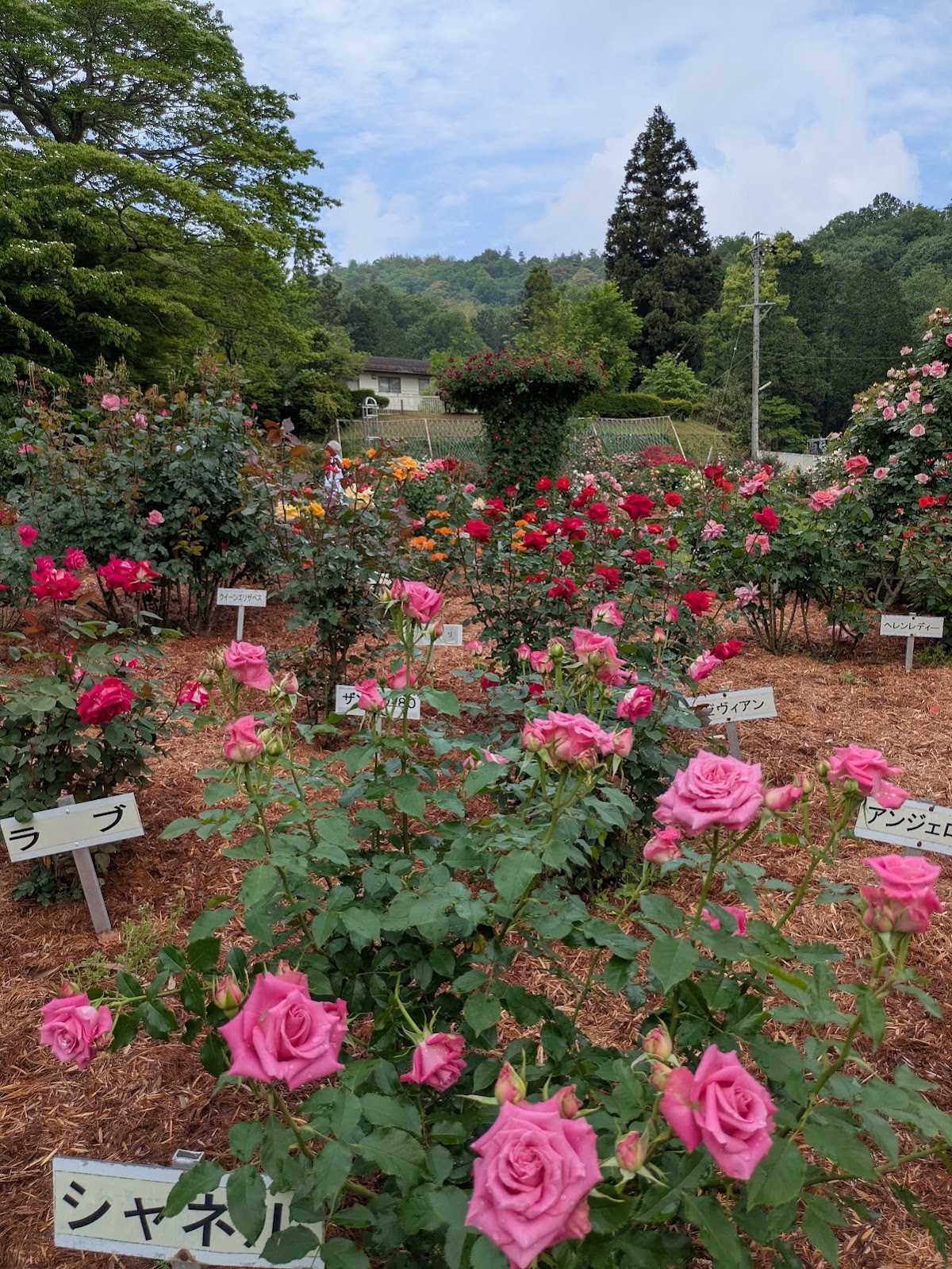 岐阜市畜産センター公園の実際の写真