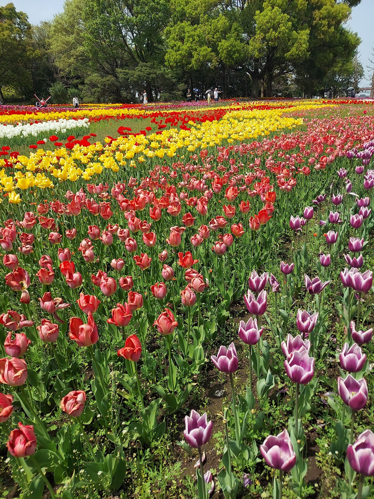 木曽三川たんけんランドの実際の写真