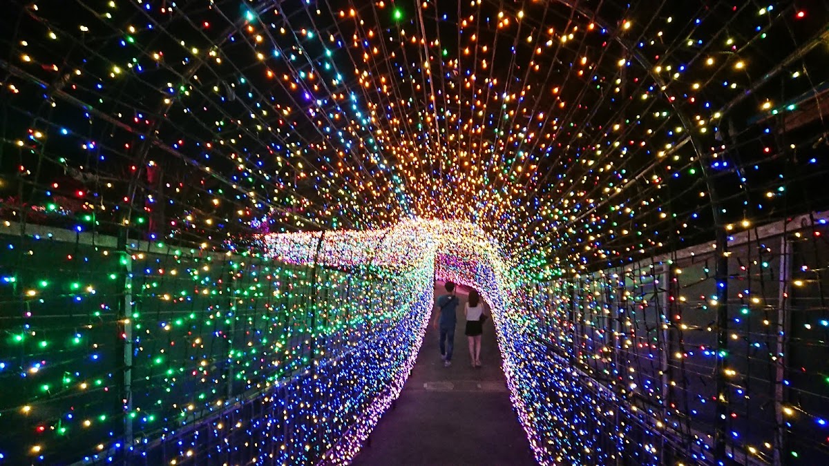 伊豆ぐらんぱる公園の実際の写真