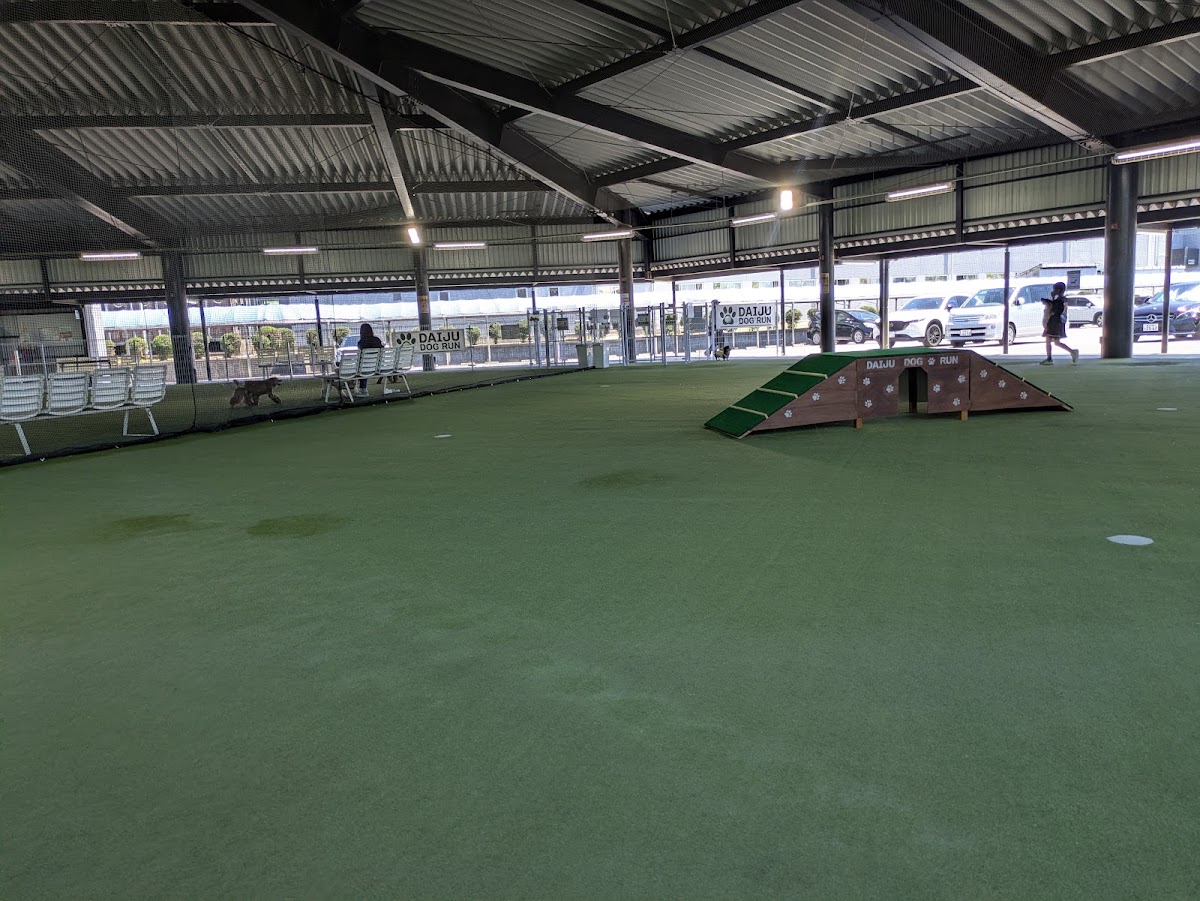 DAIJU DOG RUN(大樹ドッグラン)の実際の写真