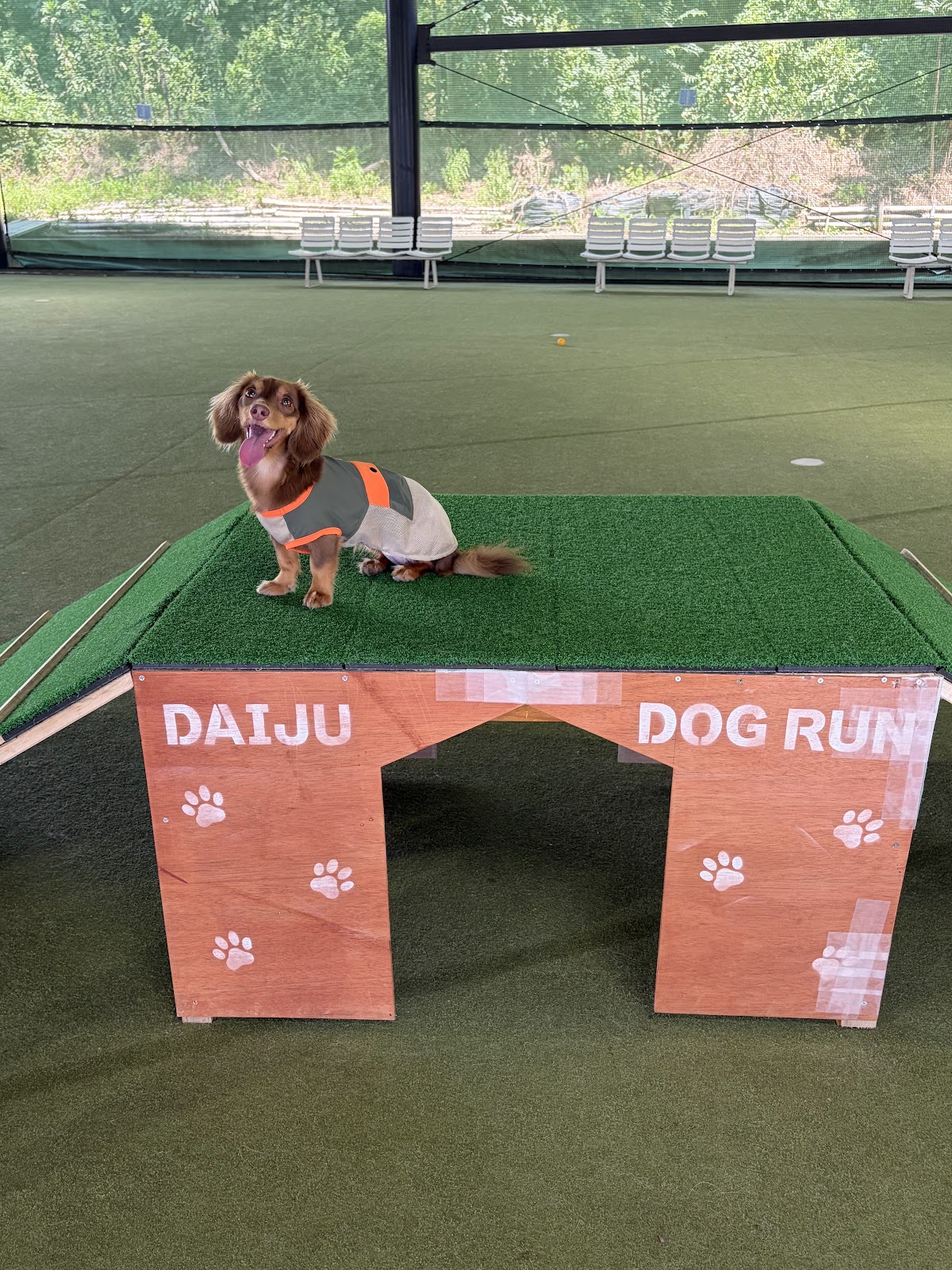 DAIJU DOG RUN(大樹ドッグラン)の実際の写真