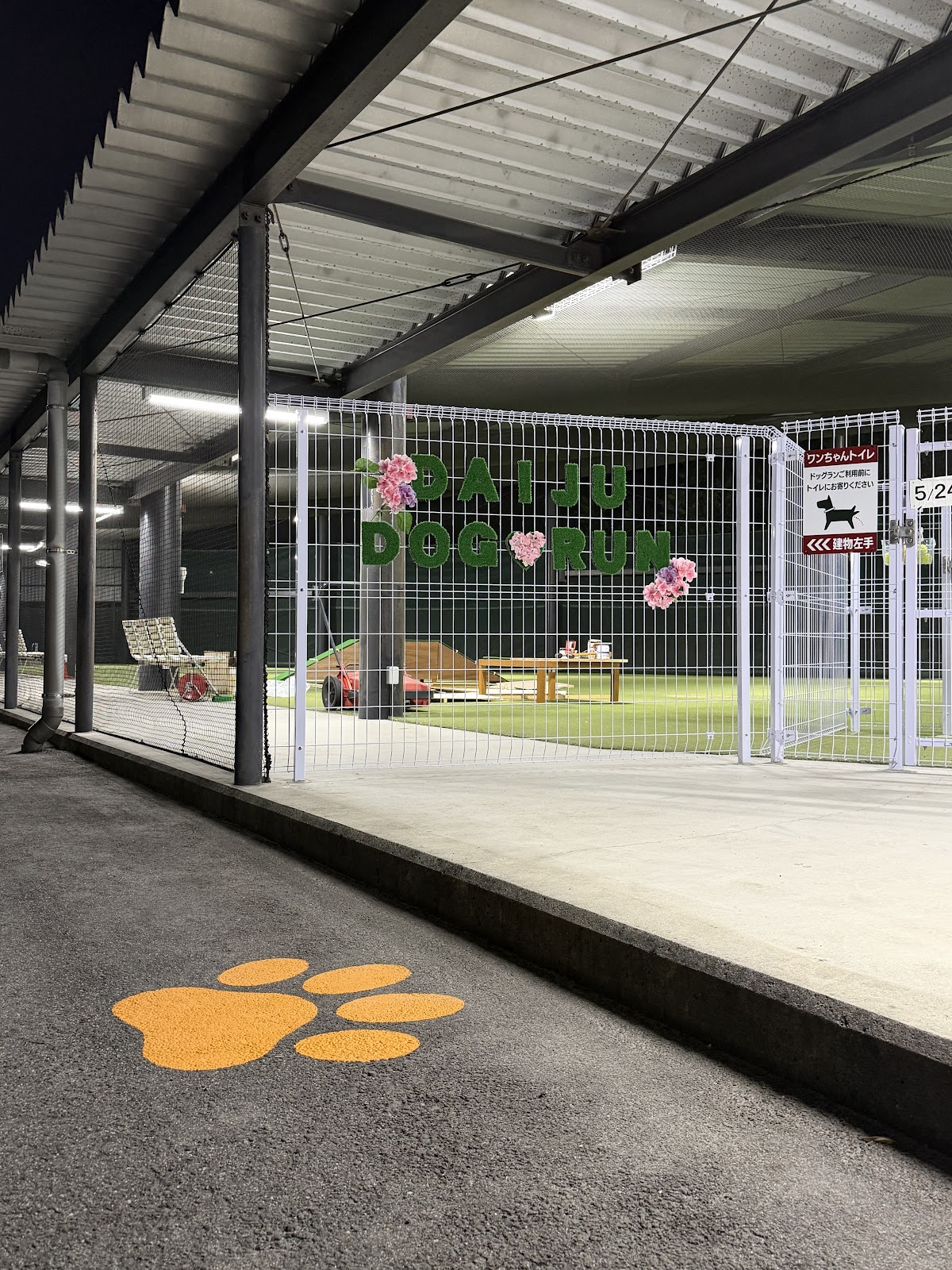 DAIJU DOG RUN(大樹ドッグラン)の実際の写真