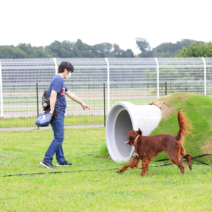 DOG PARK RUN and POOL -LANTERN CAMPING FIELD MORIYA-の実際の写真