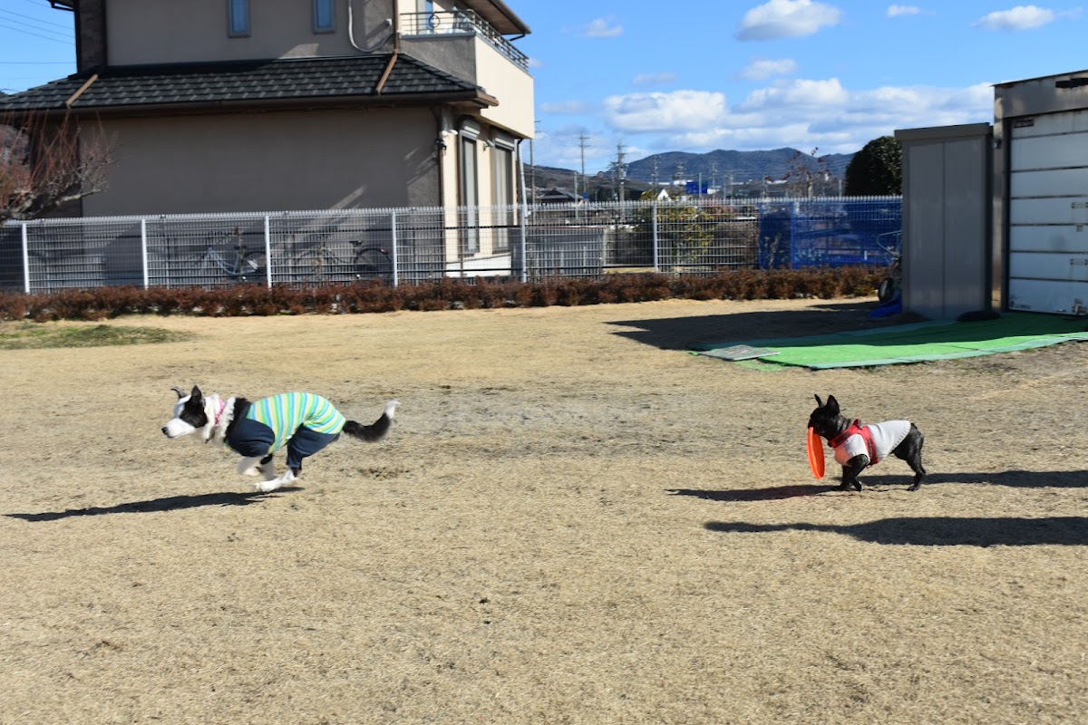 わんわん広場 みどり憩いの場の実際の写真