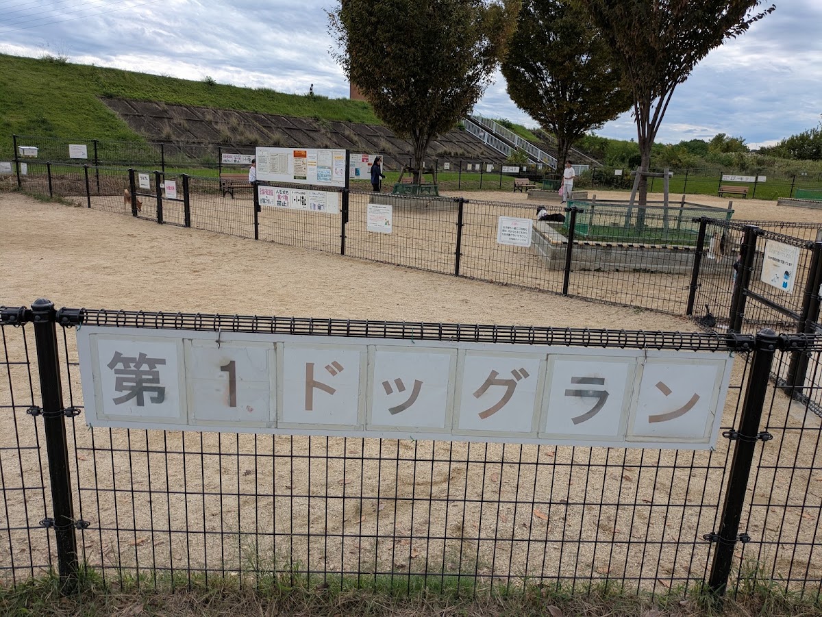 庄内緑地ドッグランの実際の写真