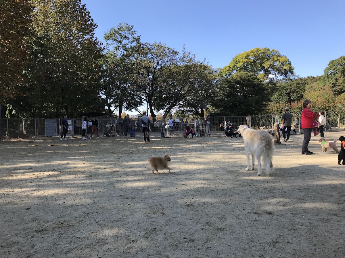 大高緑地 ドッグランの実際の写真