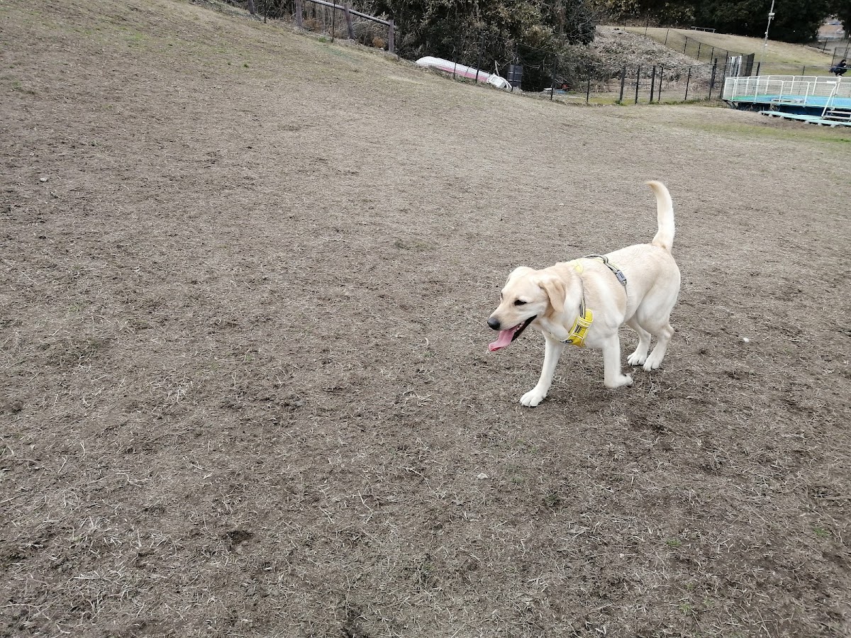 ＢｏｗｗｏｗＨｉｌｌｓの実際の写真