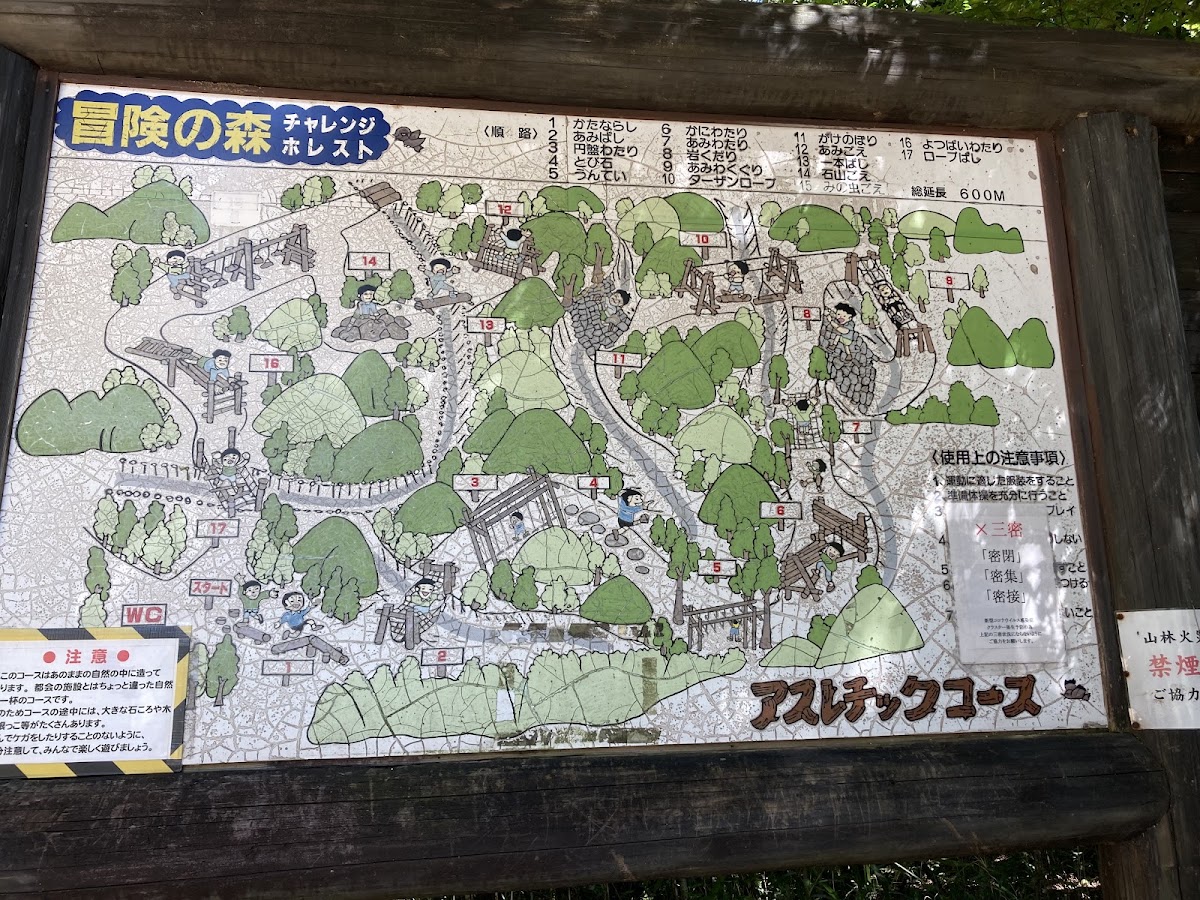 三重県民の森