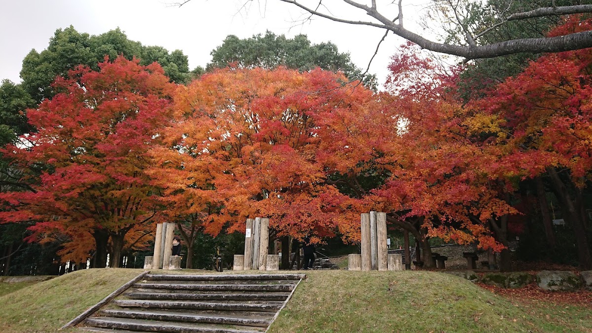 三重県民の森の実際の写真