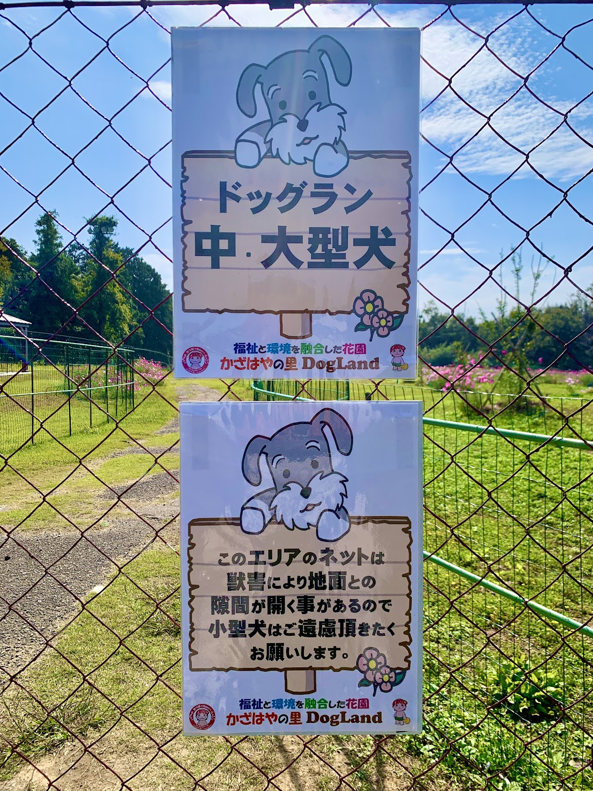 かざはやの里ドッグランドの実際の写真