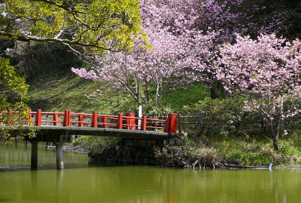 亀山公園