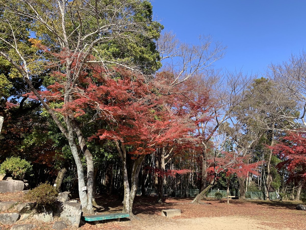 亀山公園の実際の写真