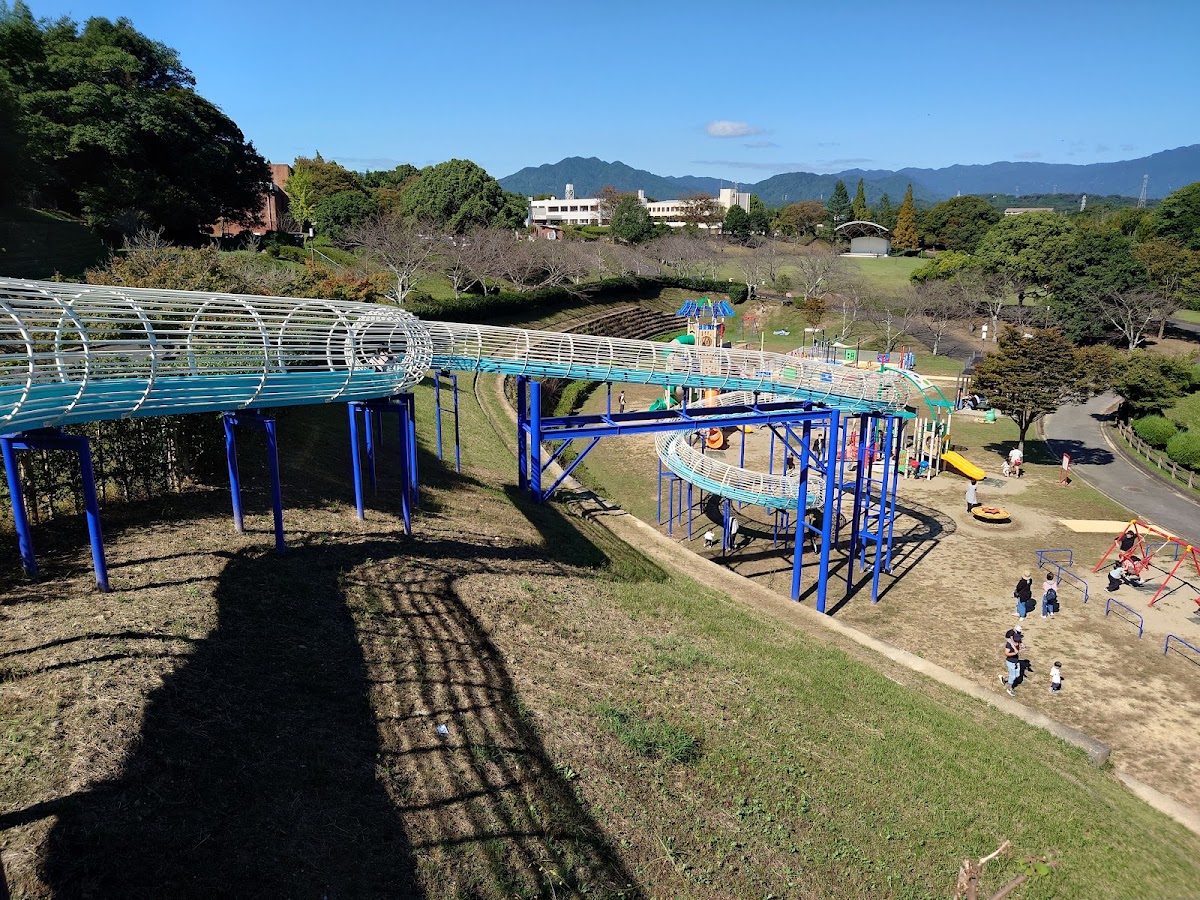 亀山公園の実際の写真