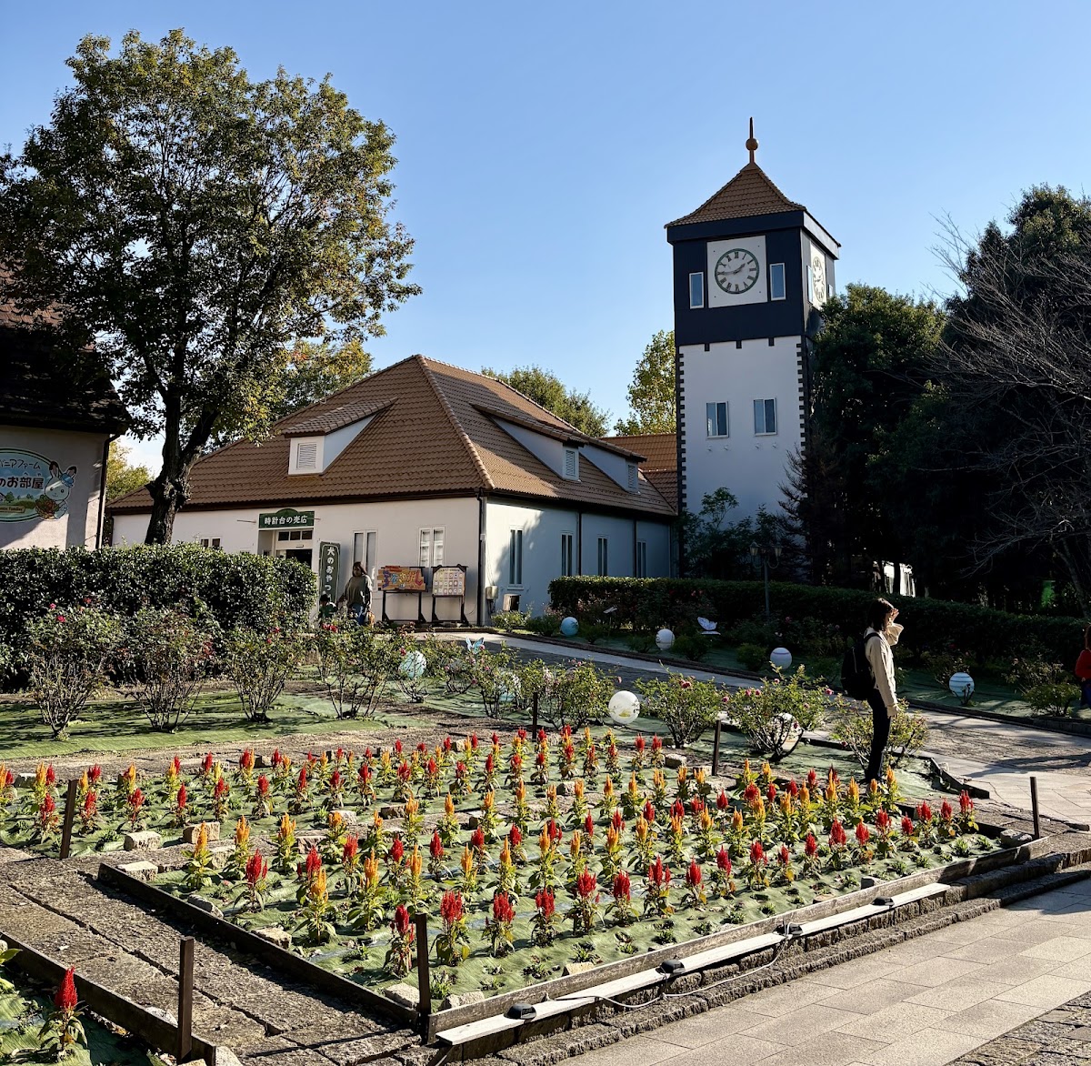 滋賀農業公園 ブルーメの丘の実際の写真