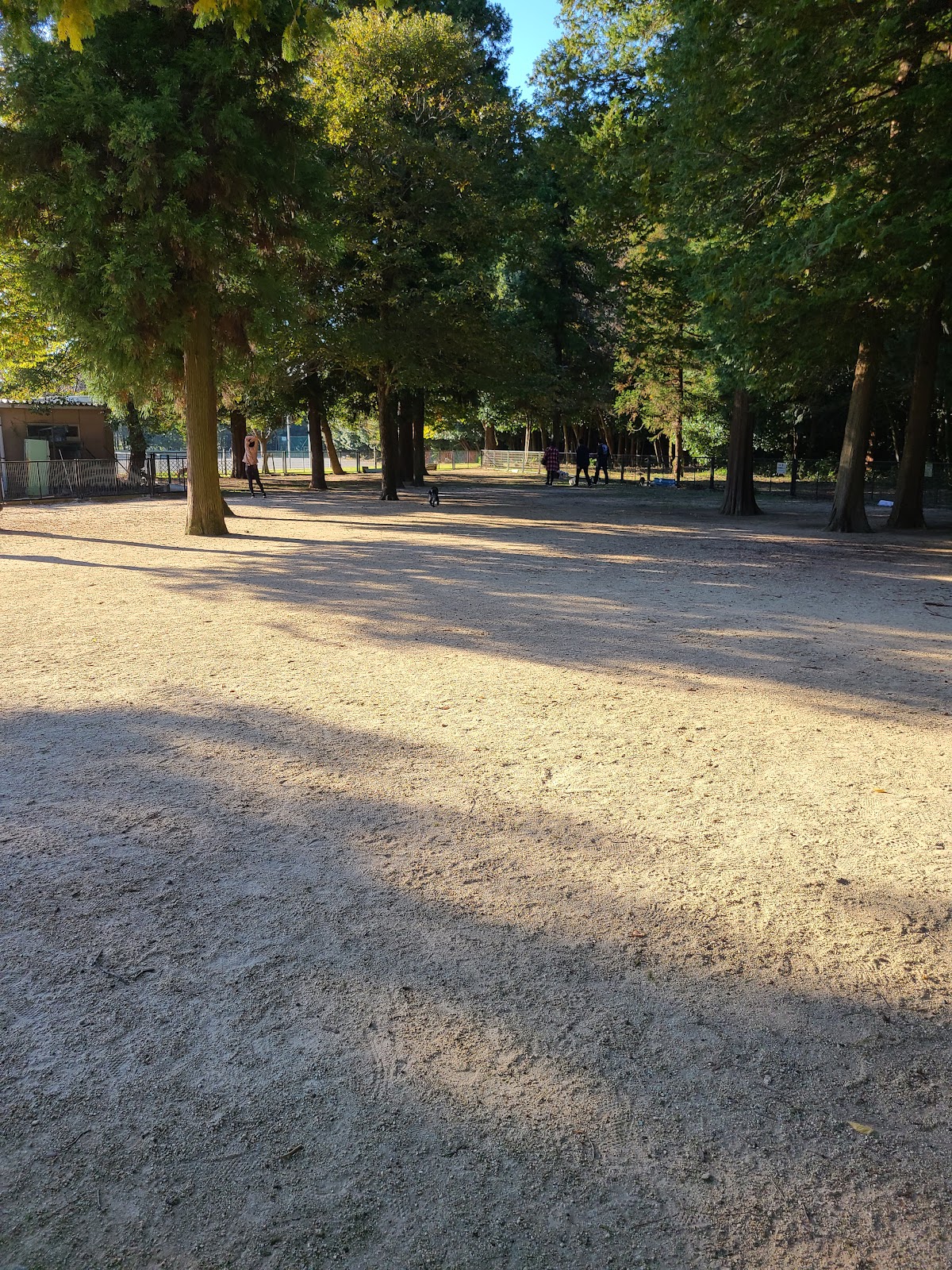 野木町総合運動公園 ドッグラン