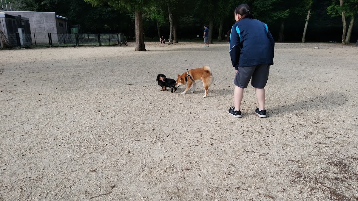 野木町総合運動公園 ドッグランの実際の写真