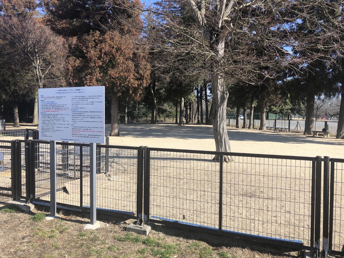 野木町総合運動公園 ドッグランの実際の写真