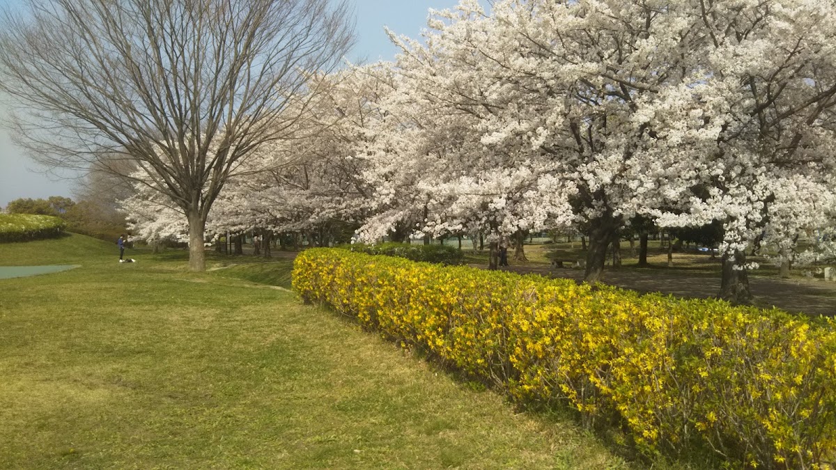 矢橋帰帆島公園の実際の写真