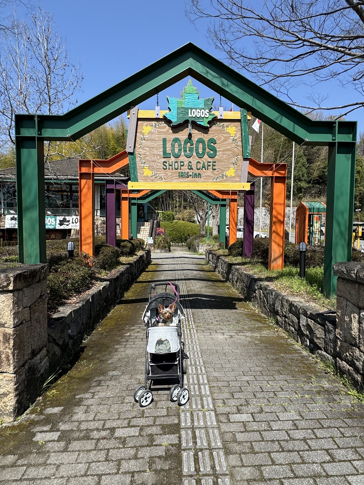 LOGOS LAND ドッグランの実際の写真