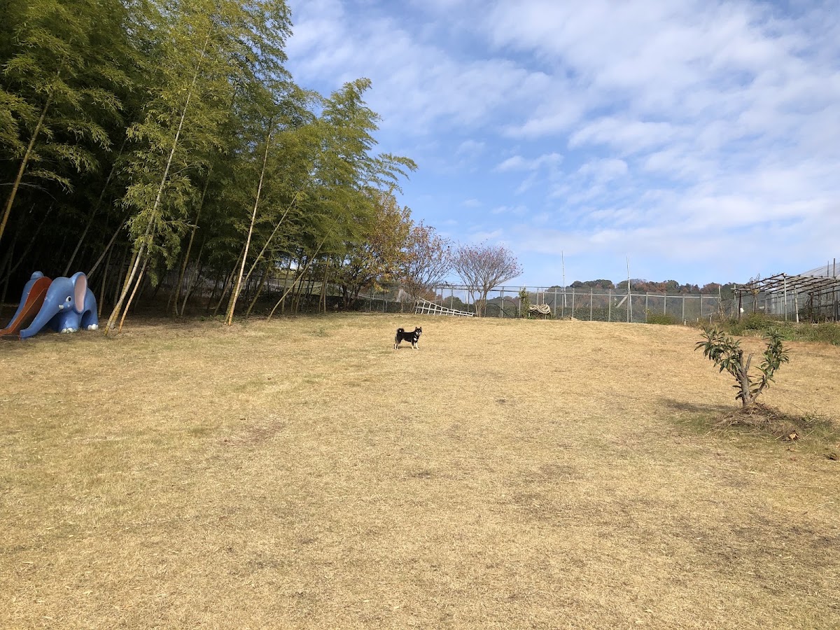ドッグラン＆キッチンなかよしの実際の写真