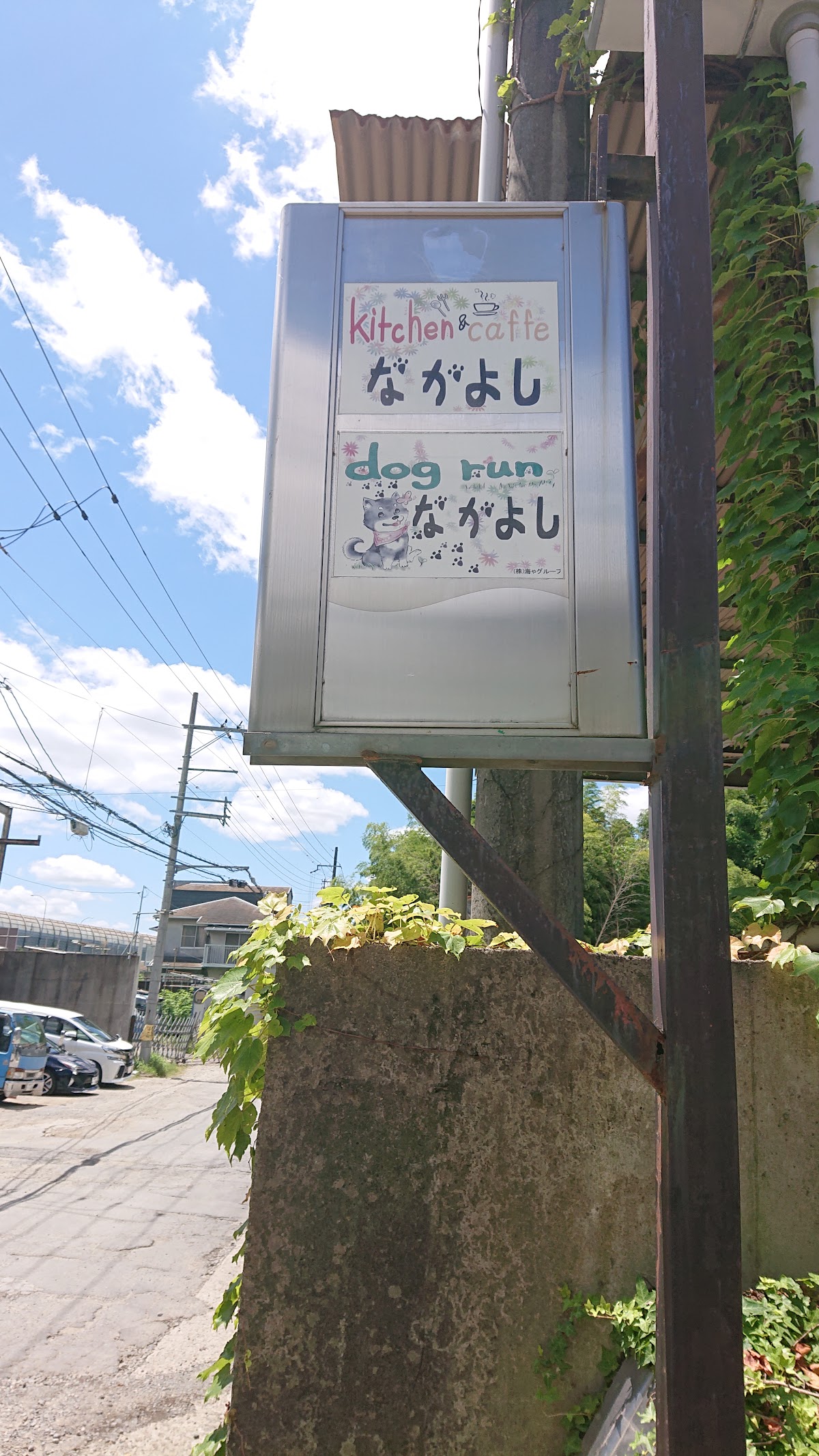 ドッグラン＆キッチンなかよしの実際の写真