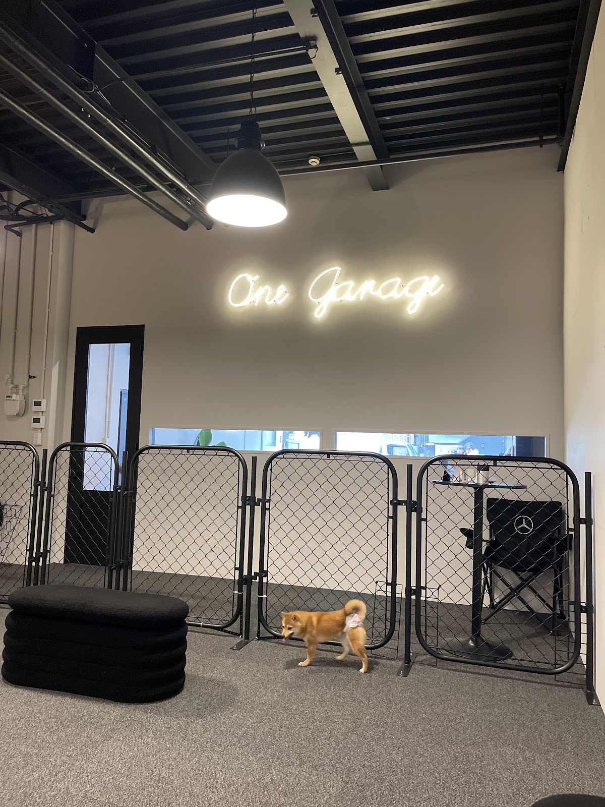 OneGarage (屋内ドッグラン)の実際の写真
