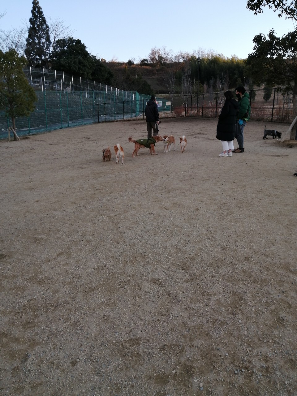 東部公園 ドッグラン施設の実際の写真