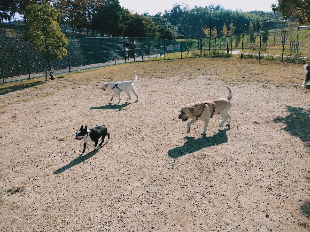 東部公園 ドッグラン施設の実際の写真