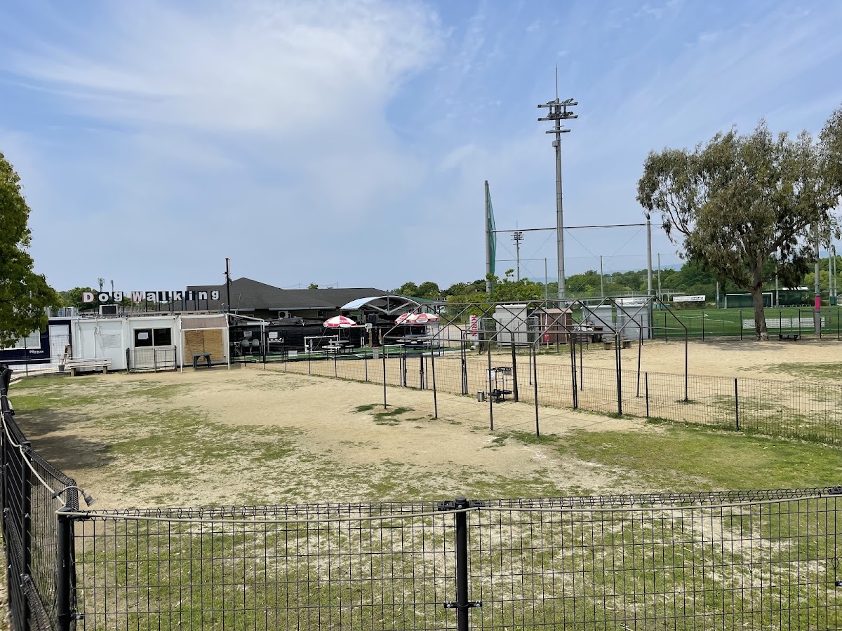 大阪舞洲ドッグウォーキング