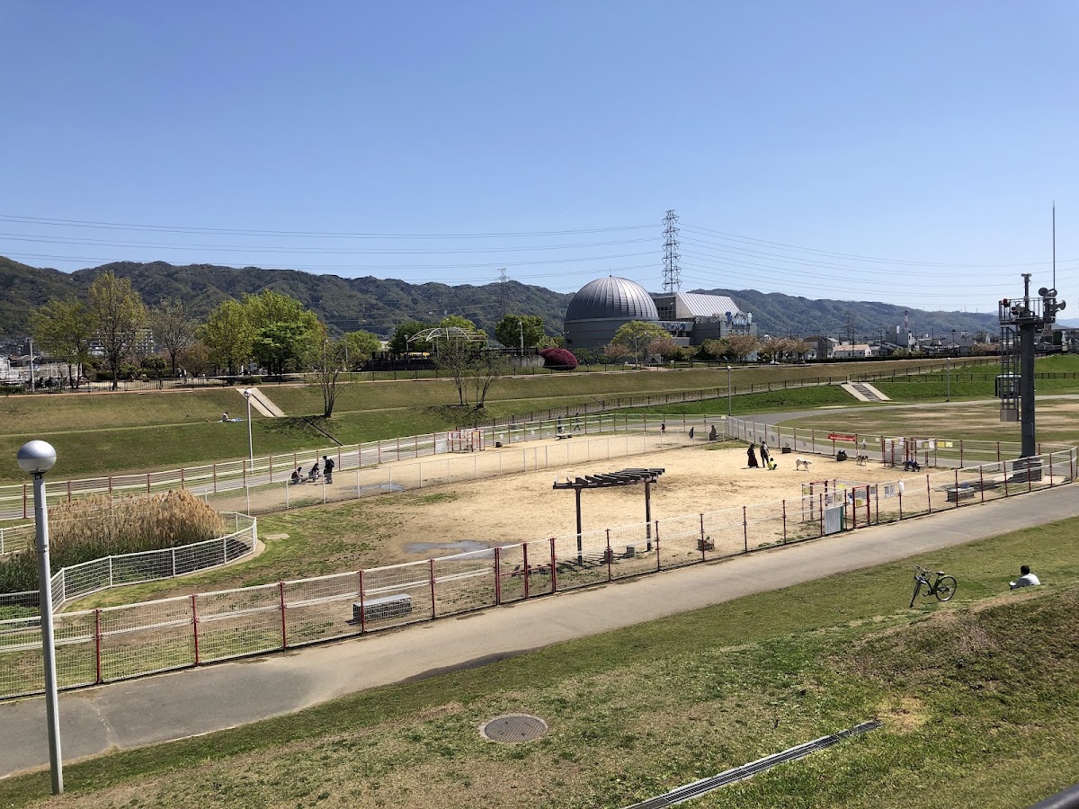 花園中央公園ドッグランの実際の写真