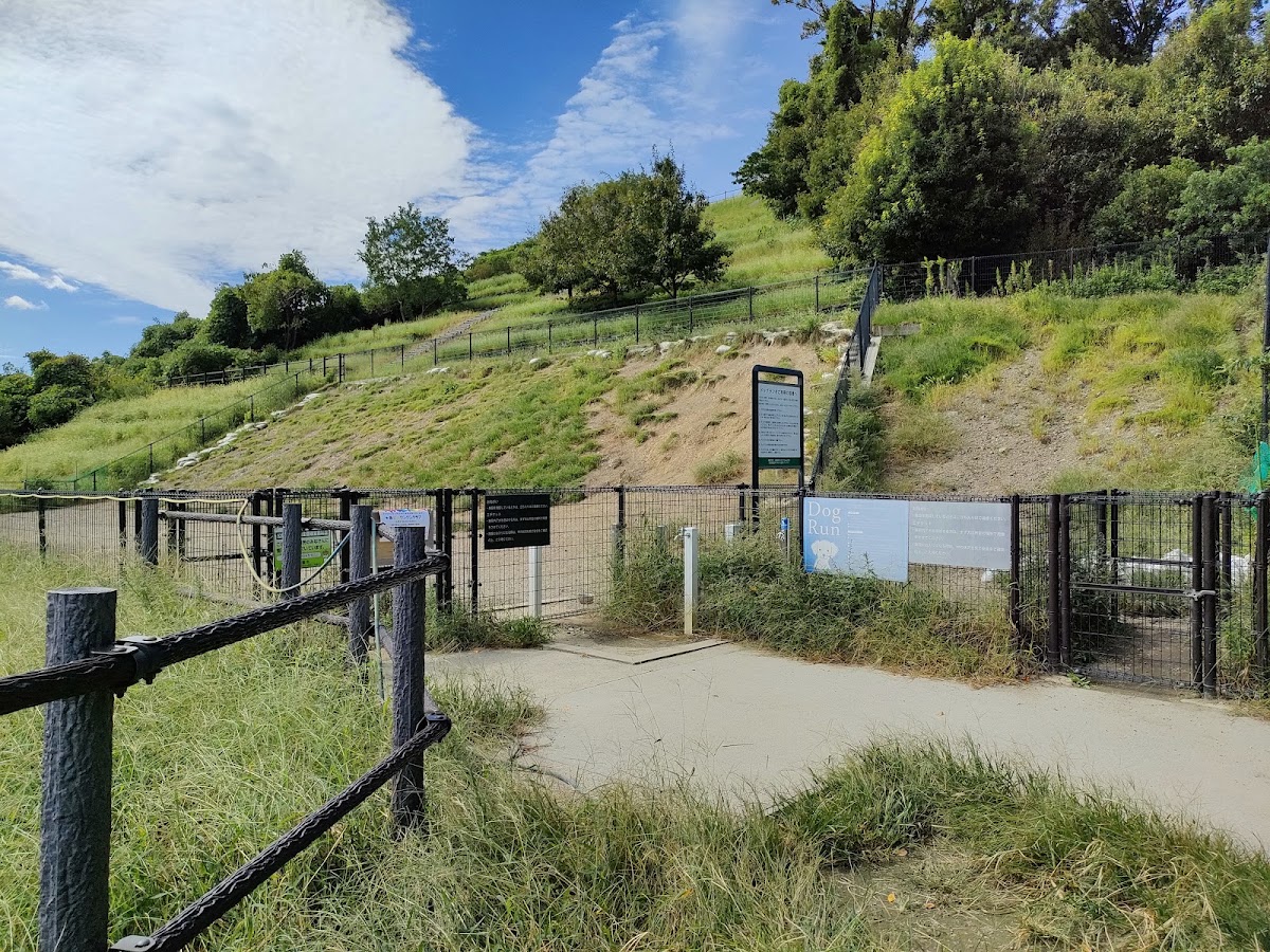 彩都なないろ公園 ドッグランの実際の写真