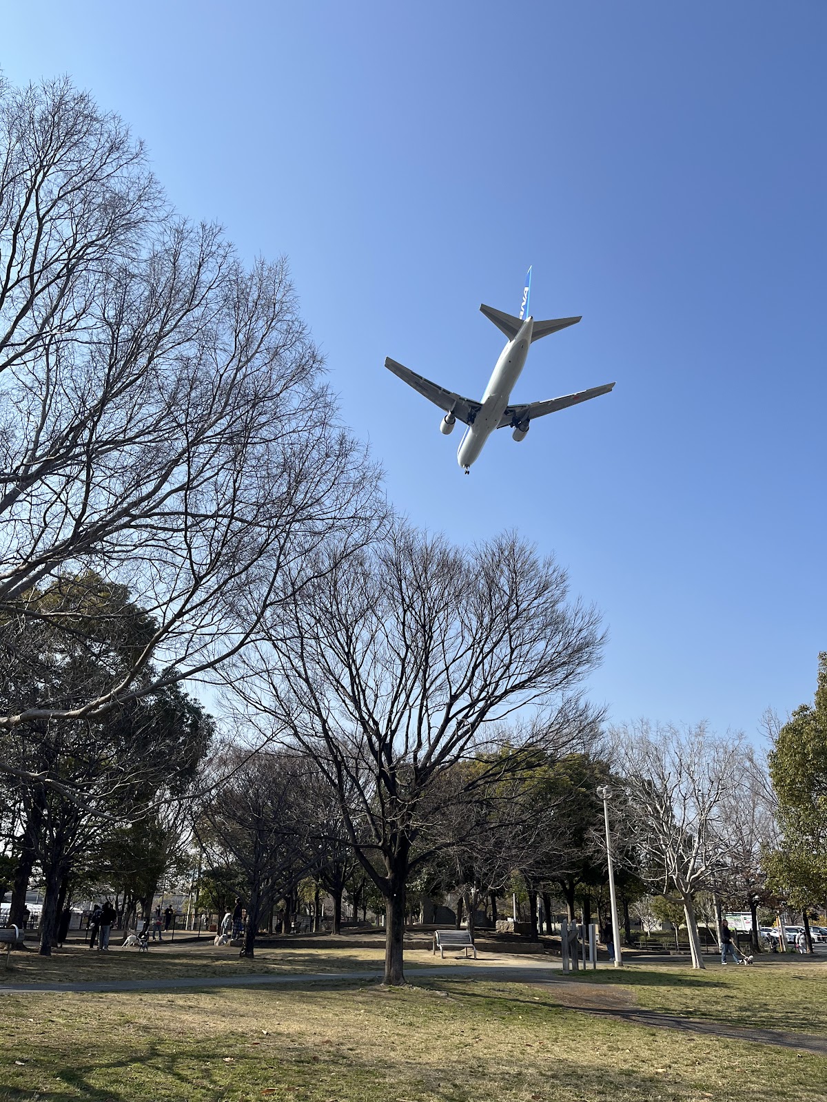 ふれあい緑地５街区の実際の写真