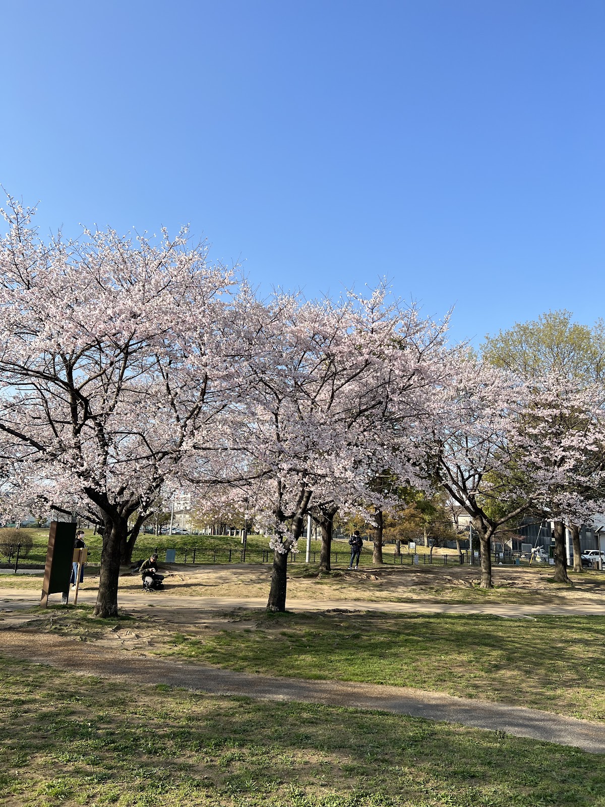 ふれあい緑地５街区の実際の写真