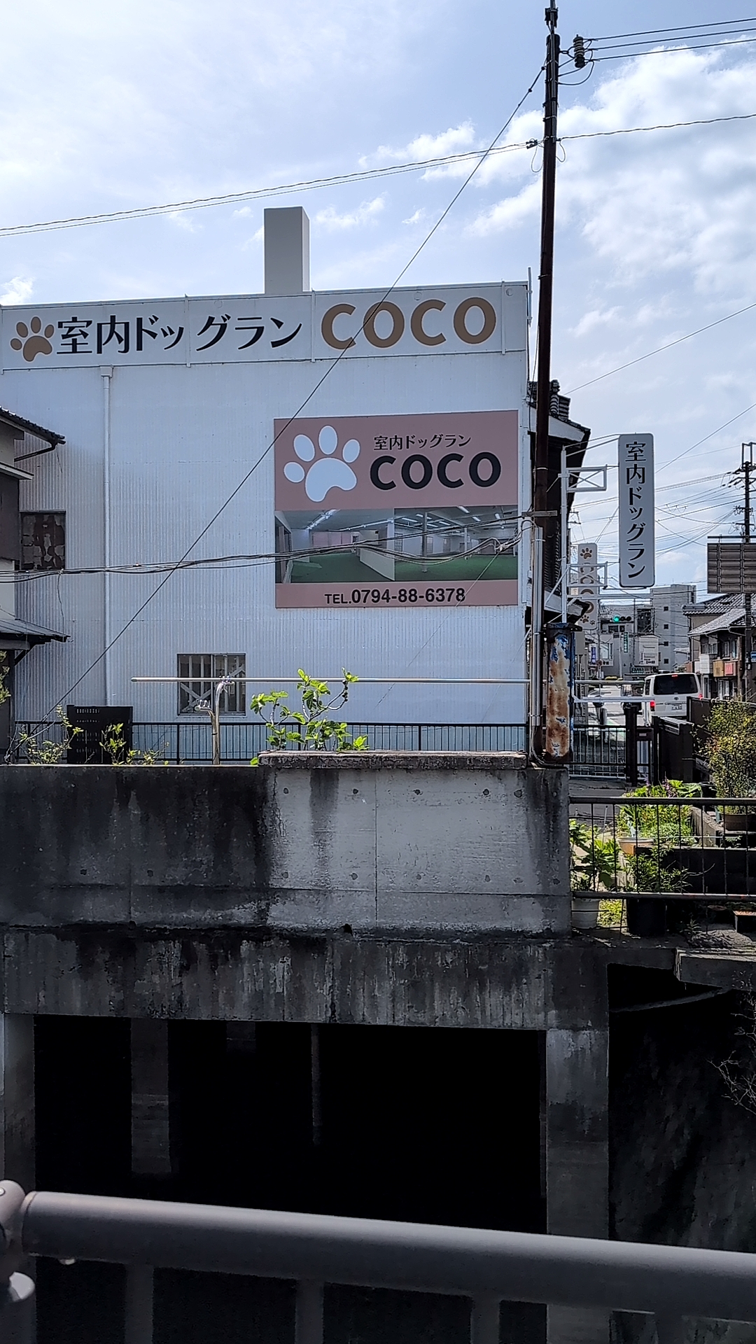 室内ドッグランCOCOの実際の写真