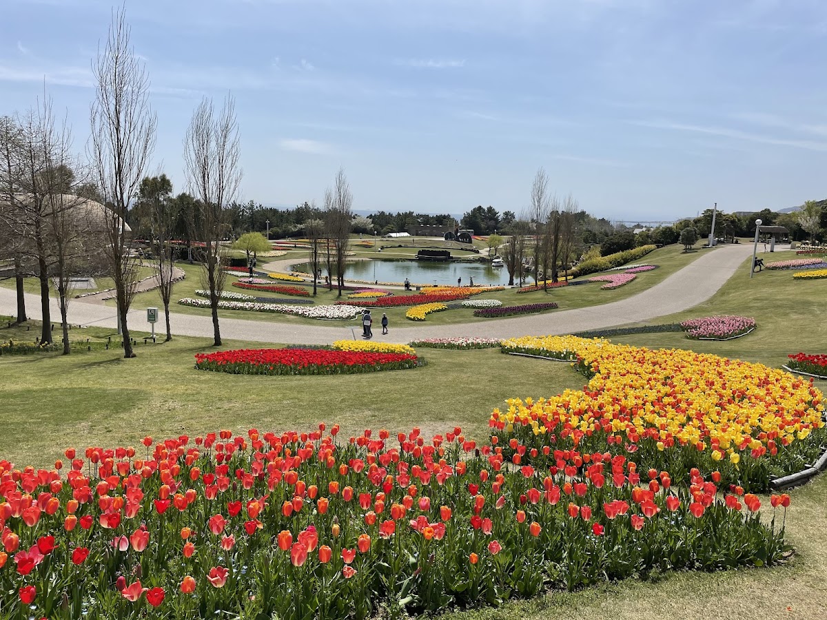国営明石海峡公園の実際の写真