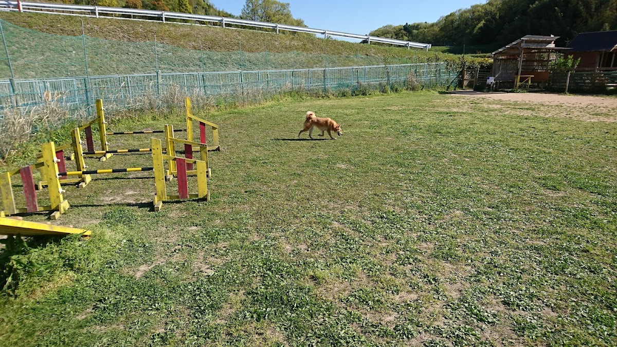 片山農園予約貸切ドッグランの実際の写真