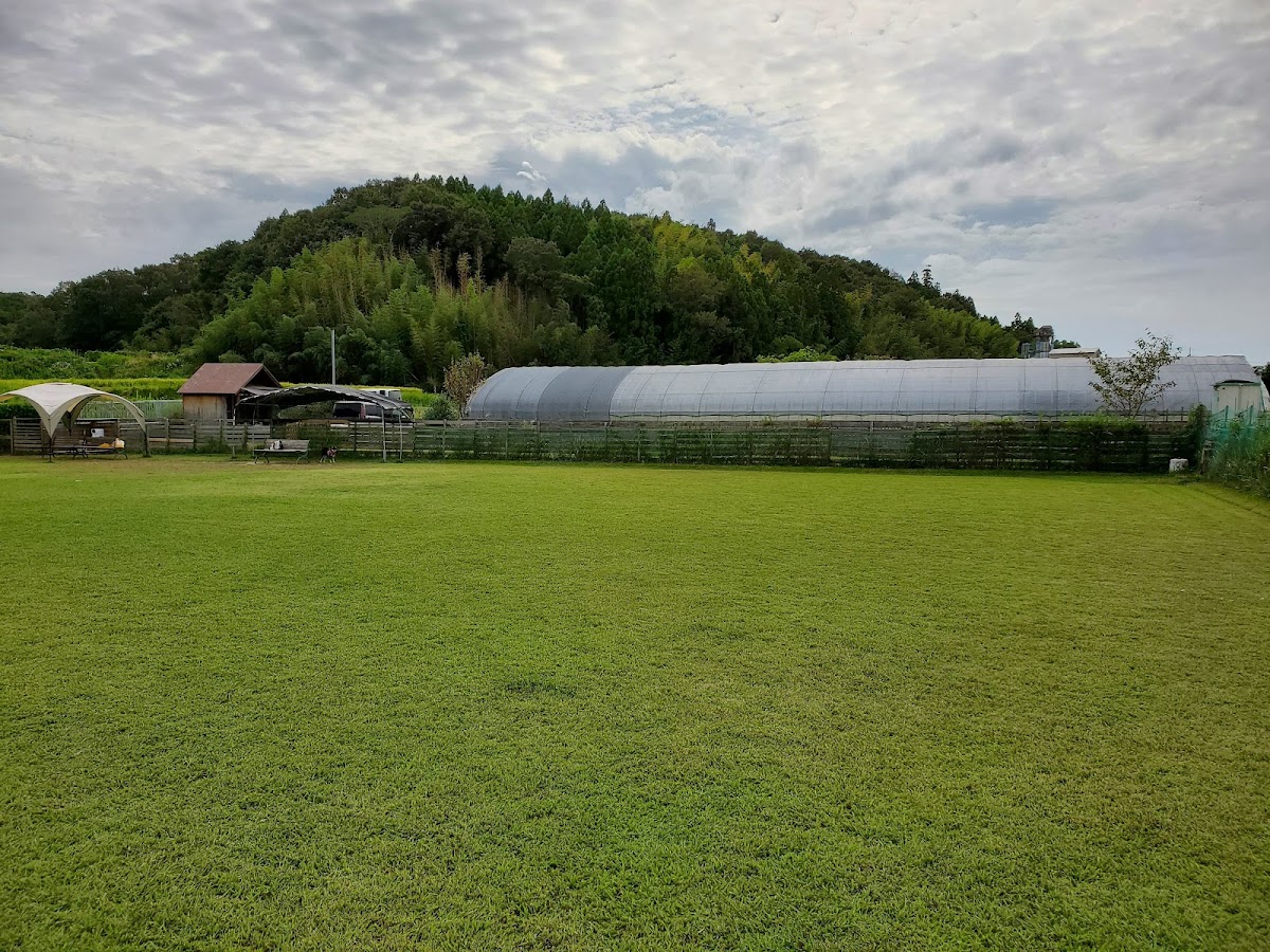 片山農園予約貸切ドッグランの実際の写真