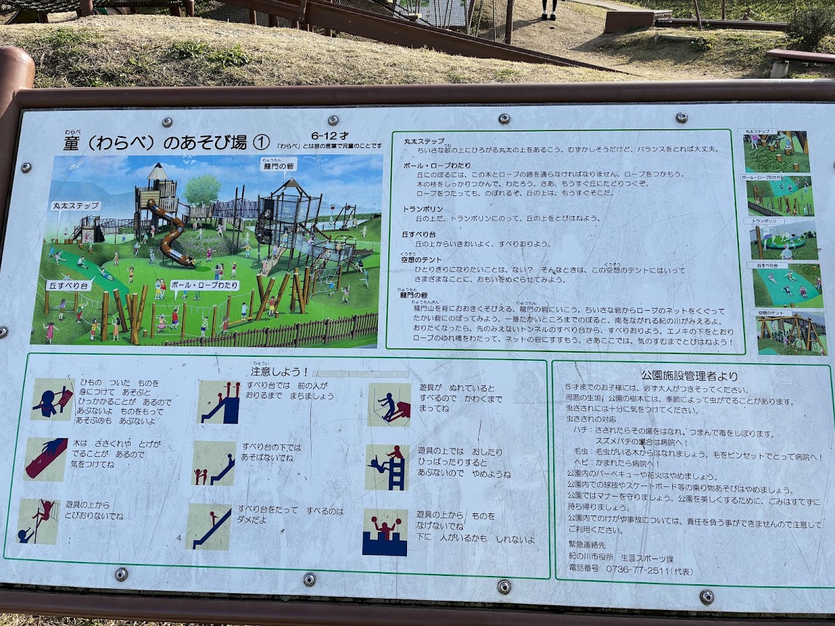 野あそびの丘の実際の写真