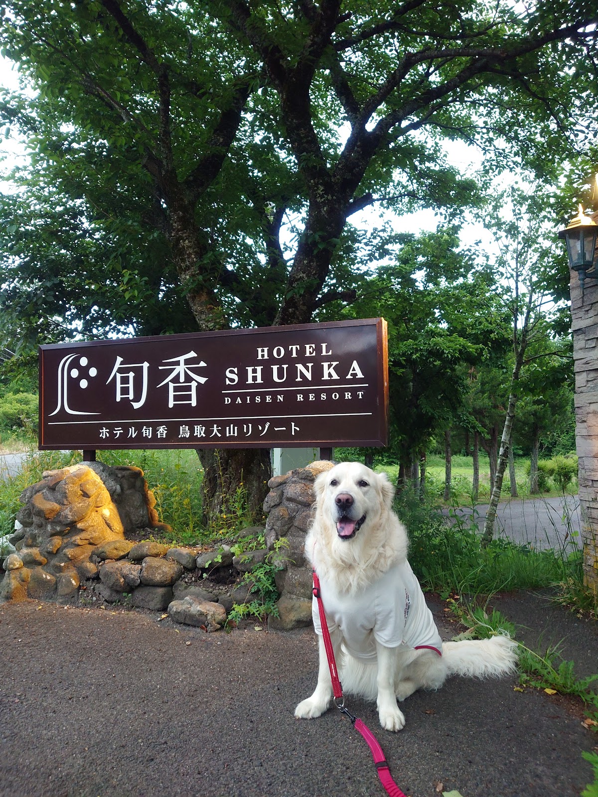 旬香 ドッグラン