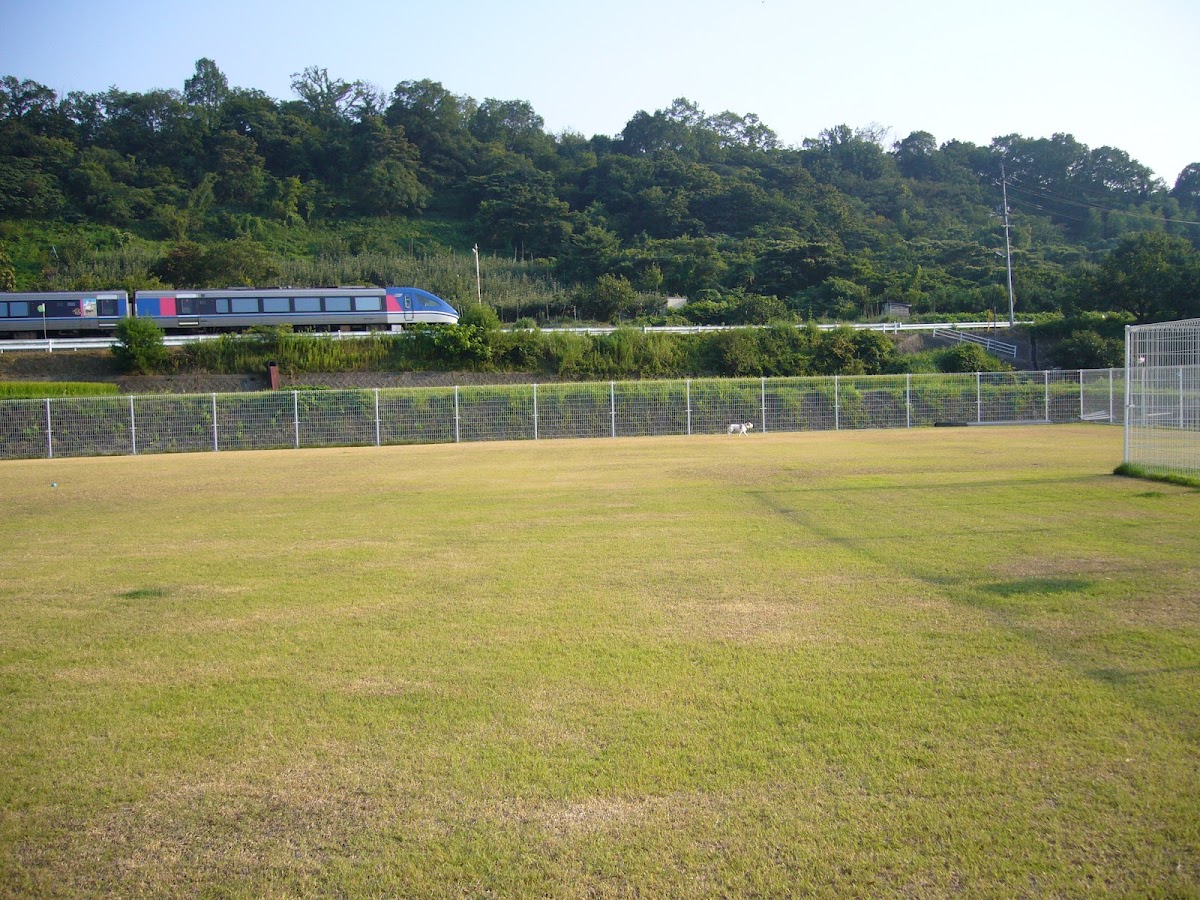 ペットサポート＆スポーツフィールドカニス