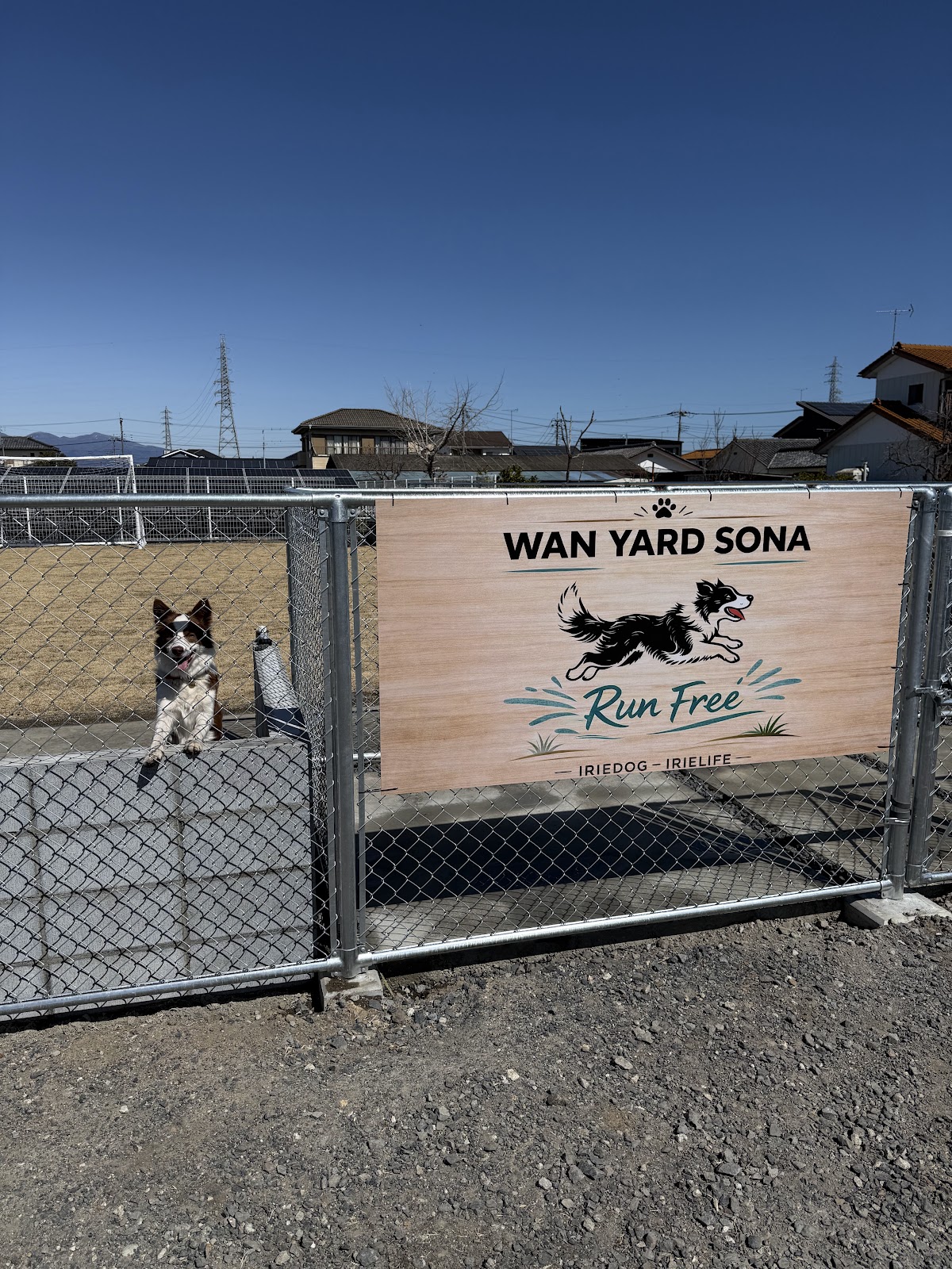 WAN YARD SONA ドッグランの実際の写真
