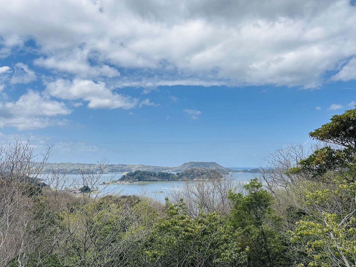 とっとり出合いの森 湖山池天空エリア
