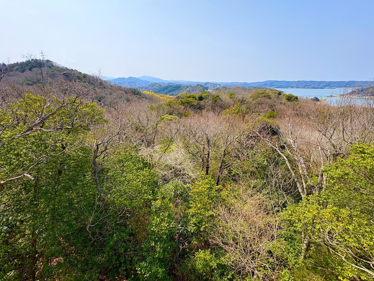 とっとり出合いの森 湖山池天空エリアの実際の写真