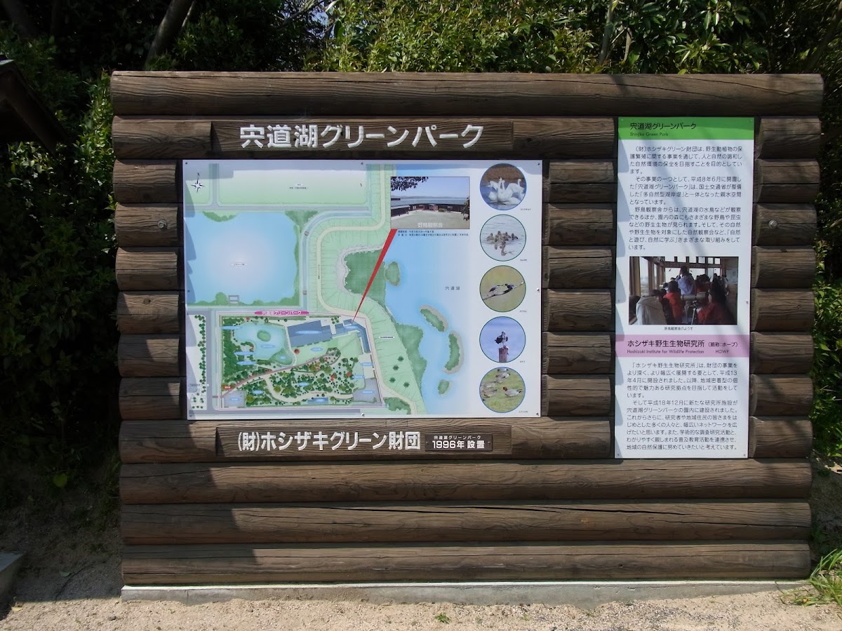 宍道湖グリーンパークの実際の写真