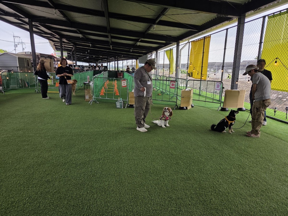 ＤＯＧ ＲＵＮ ＫＡＩの実際の写真