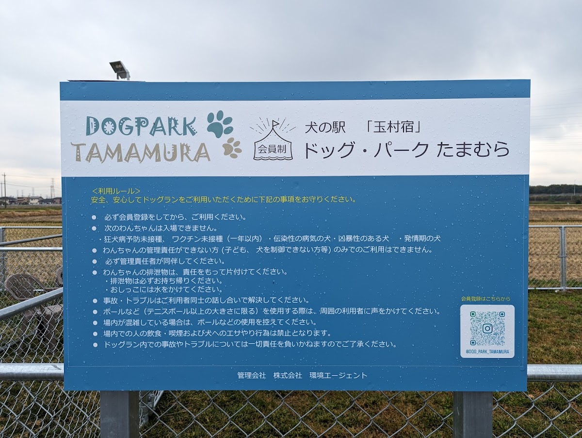 ドッグパーク たまむらの実際の写真