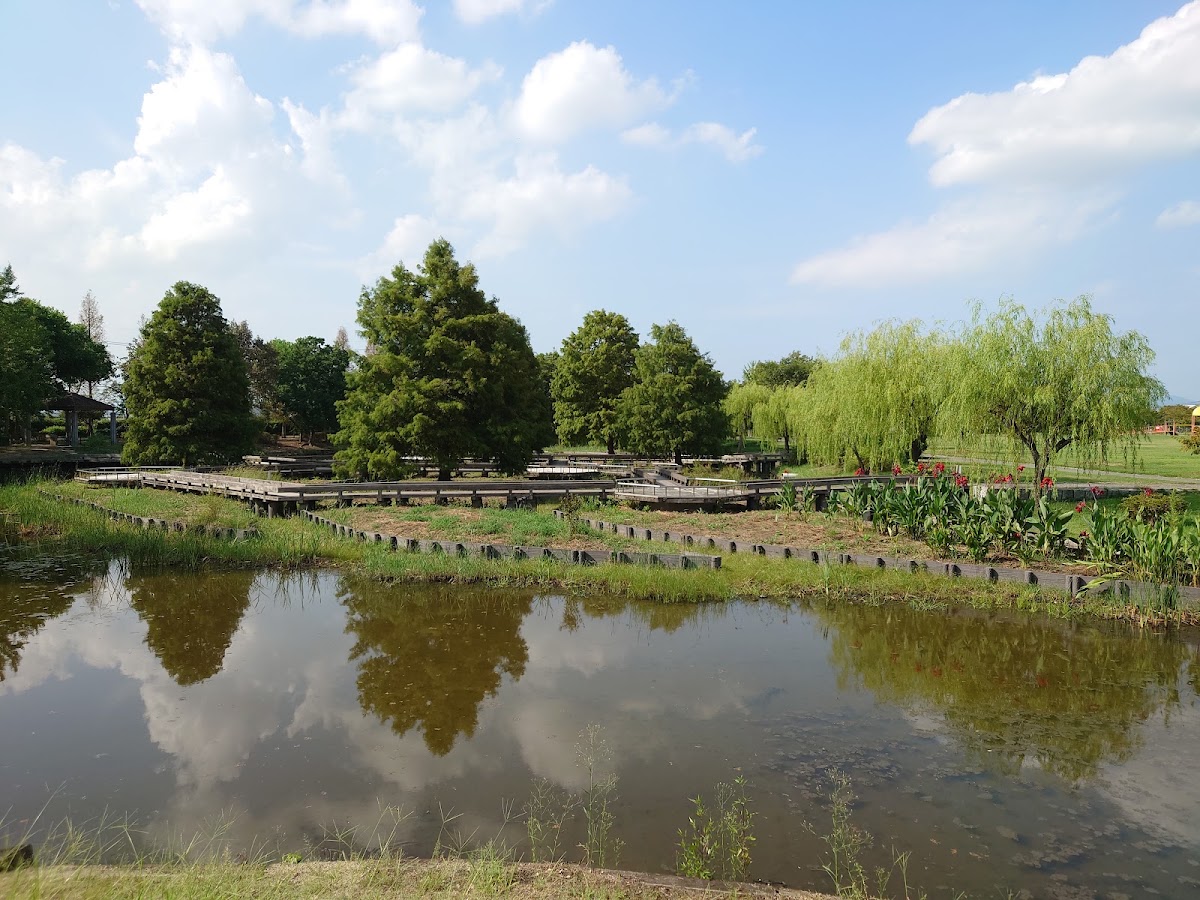 浦安総合公園（西地区）の実際の写真