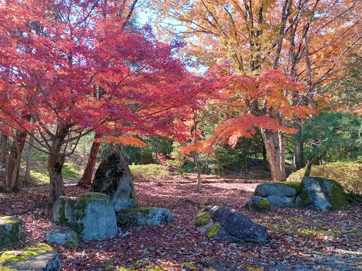 広島県緑化センター わんこひろば